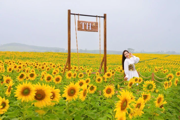 TH TRUE MILK - Ảnh 3.