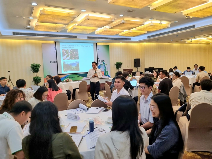 PRO Việt Nam - Ảnh 2.