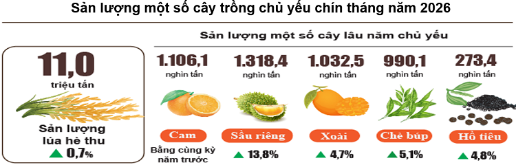 Nguồn: Cục Thống kê.