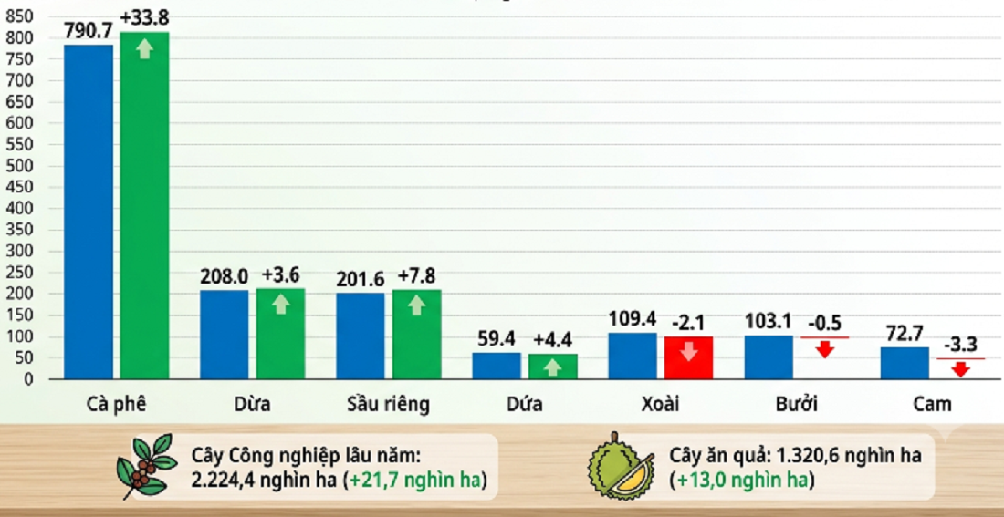Diện tích và biến động cây lâu năm nổi bật năm 2026.